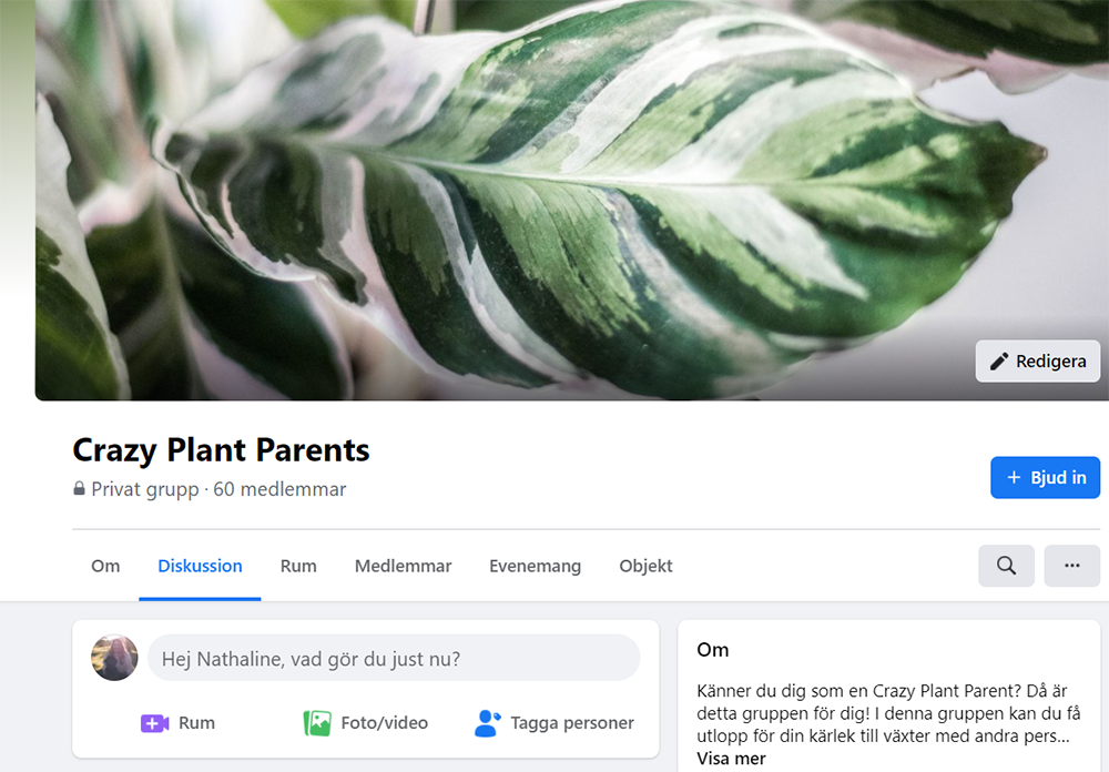 5 saker som jag tycker väldigt mycket om. Facebookgrupper Crazy plant parents.