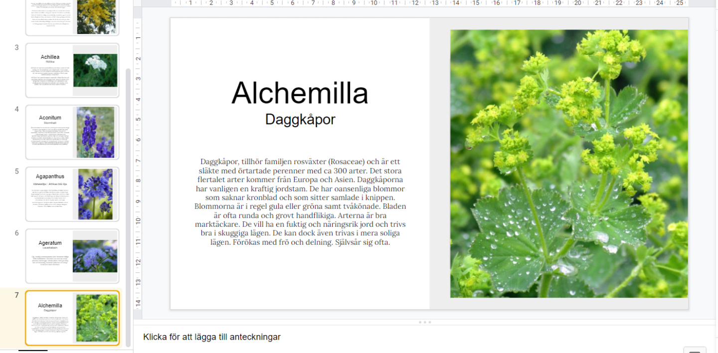 Mitt mål denna veckan är att lära mig 18 olika växter och deras latinska namn. Googles slides.
