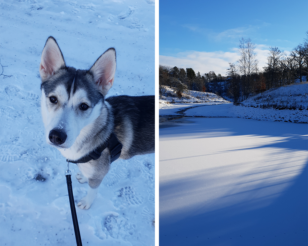 Snön ligger kvar i Trollhättan