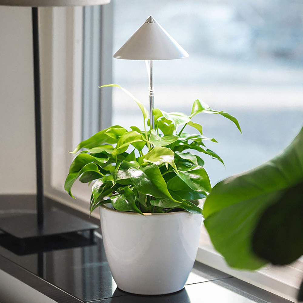 Boosta dina växter med 20% rabatt på Sunlite växtlampa