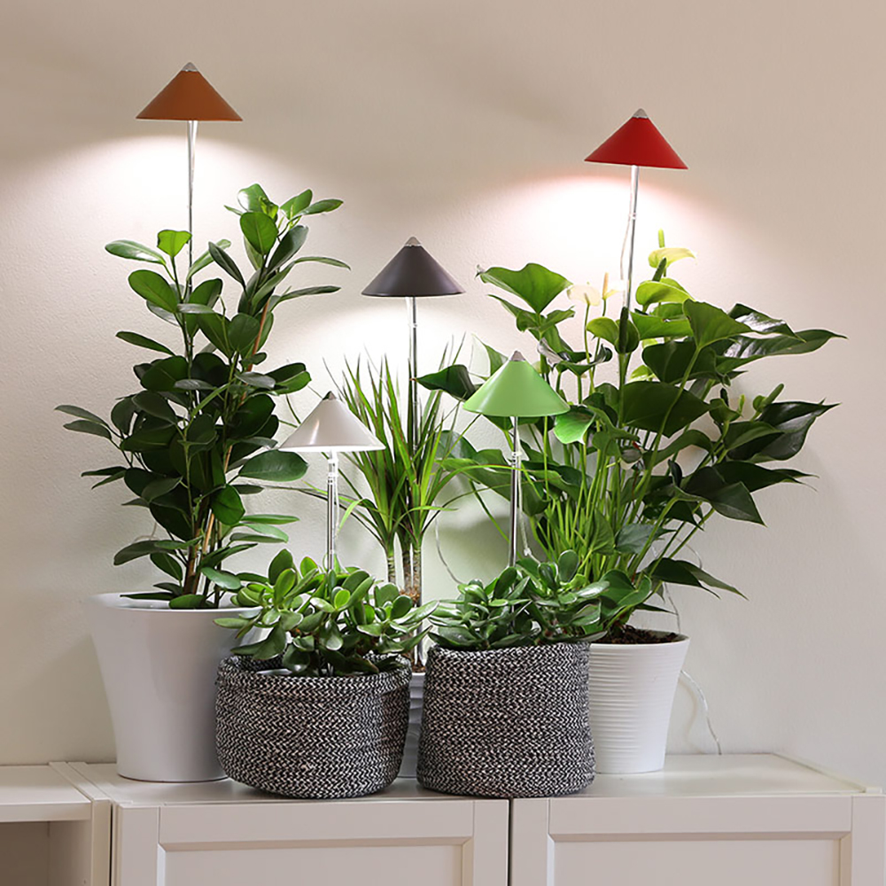 Boosta dina växter med 20% rabatt på Sunlite växtlampa