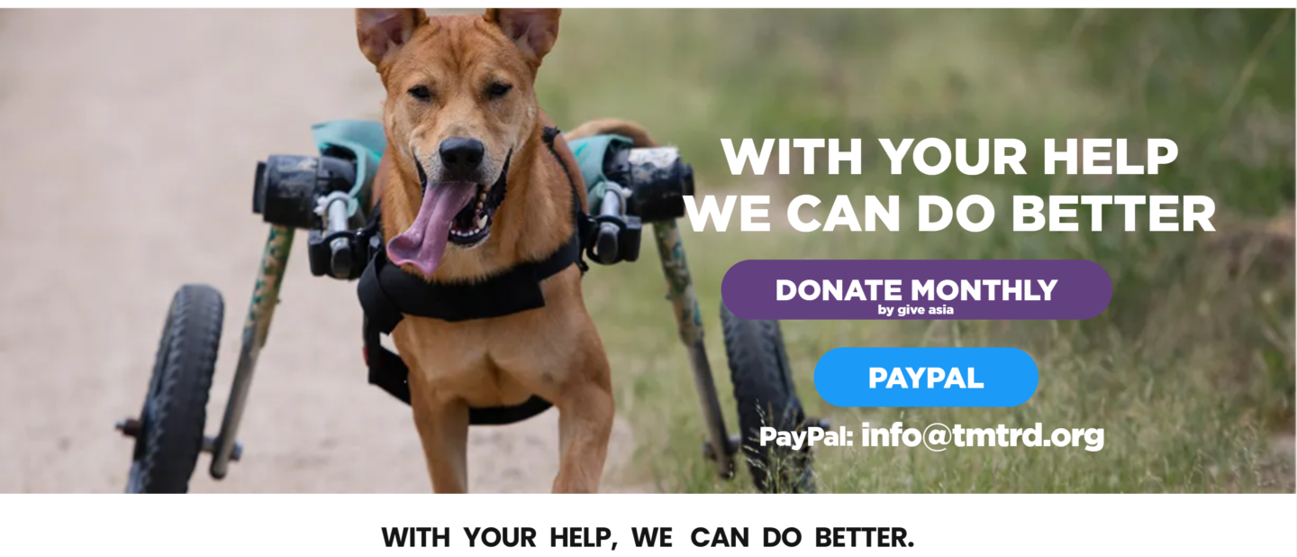 I Mars månad donerar jag pengar till The Man That Rescues Dog