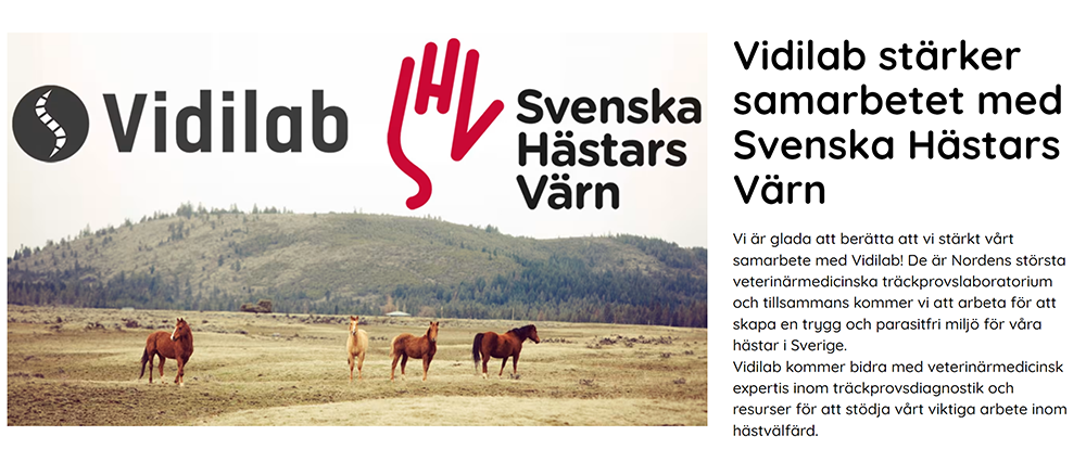 I April månad donerar jag pengar till Svenska Hästars Värn