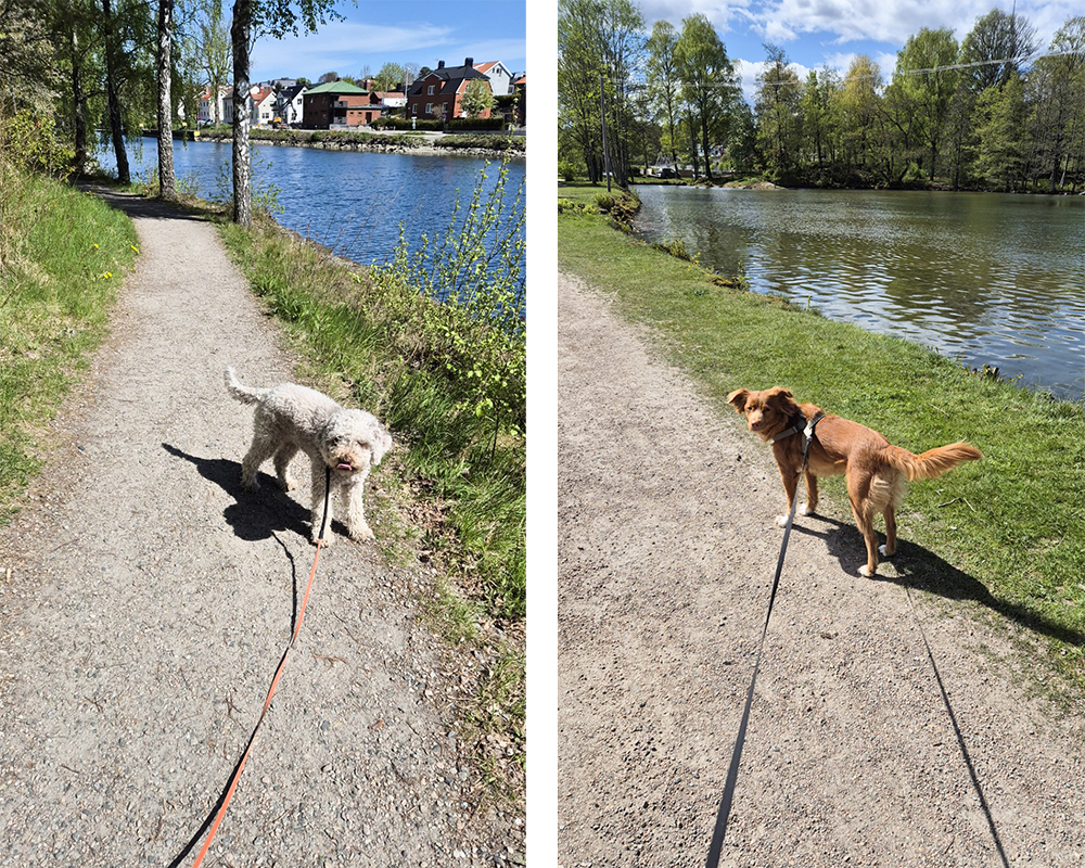 Maj till skillnad från April är en lugnare månad