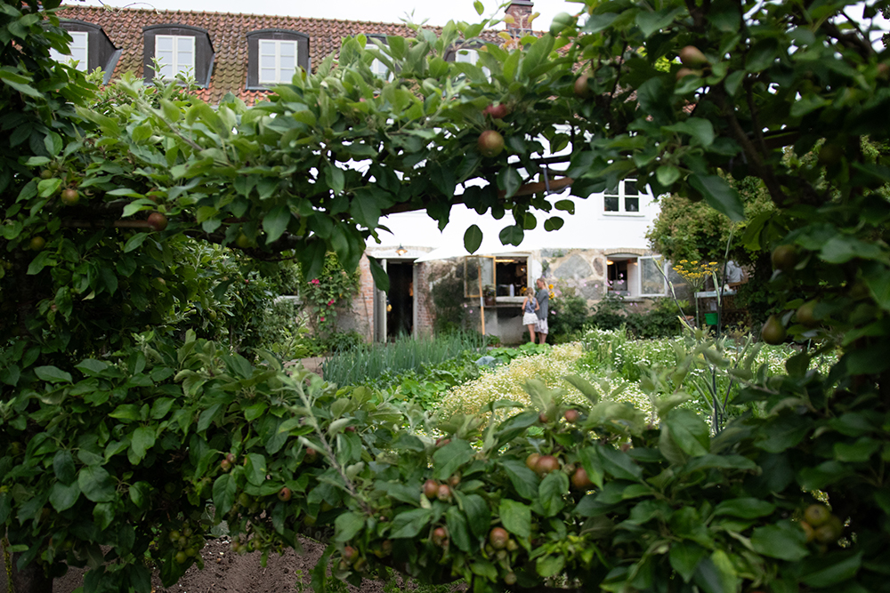 Mandelmanns Gård