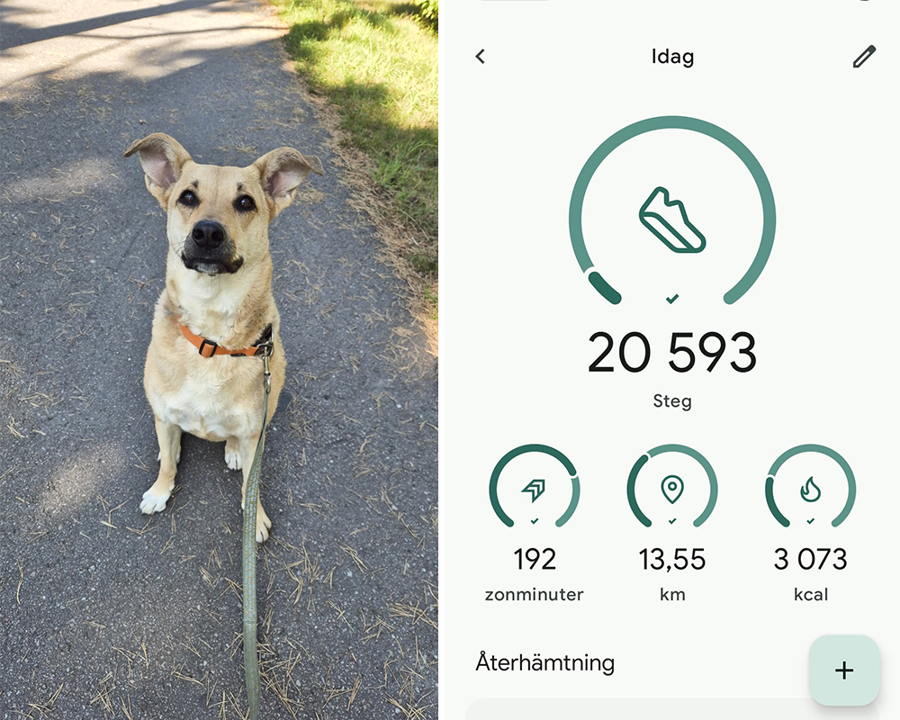 Första promenaden med Solis