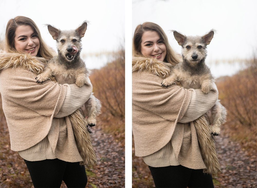 Vår älskade lilla Kira har fått somna in