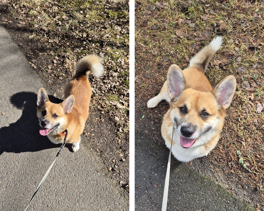 Nu känner jag mig som mig själv igen