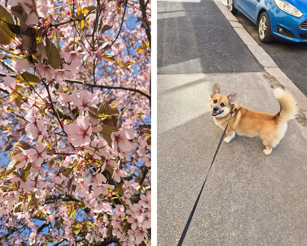 Underbar start på veckan